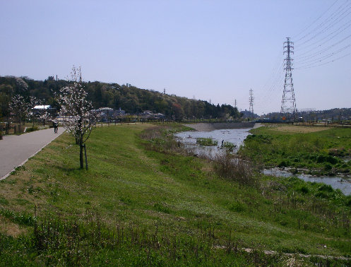 親水護岸（左岸）の写真です。