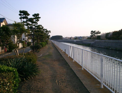 作橋下流左岸風景の写真です