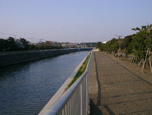 作橋上流右岸風景の写真